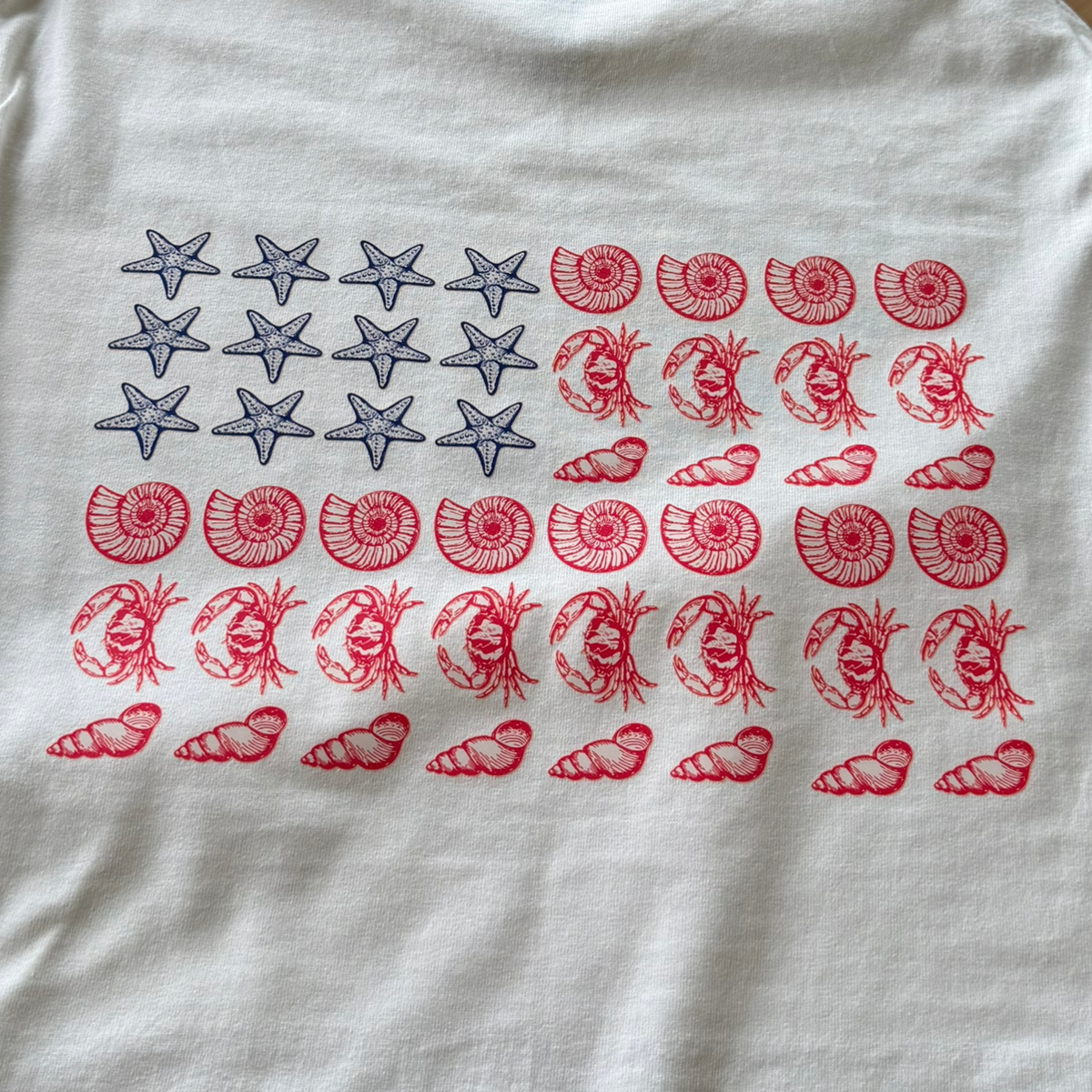 Beachy Flag Graphic