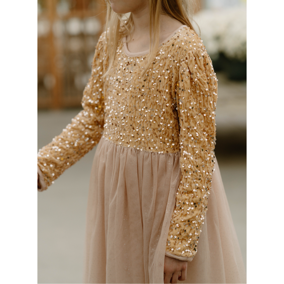 Golden Twinkle Tulle Dress